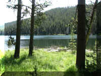 a f0811ys_328 day 1 lun spot_1.JPG (67832 bytes)