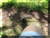 a f0811ys_338 b beg f_1.JPG (85944 bytes)