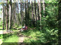 a f0811ys_342 1 day lun ml_1.JPG (87113 bytes)