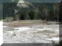 a f0811ys_419 mhs ter1_1.JPG (56488 bytes)