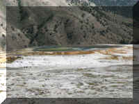 a f0811ys_429 mhs ter2_1.JPG (54825 bytes)