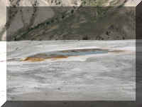 a f0811ys_445 mhs new blu_1.JPG (42501 bytes)