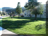 a f0811ys_583 crwd moose_1.JPG (58813 bytes)