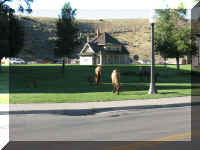 a f0811ys_597 mose bldg_1.JPG (51801 bytes)