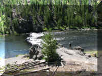 a f0812ys_137 fshmn_1.JPG (72475 bytes)