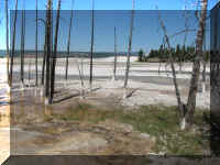 a f0812ys_198 ftn pp2_1.JPG (55764 bytes)