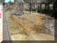 a f0812ys_204 ftn pp3_1.JPG (60124 bytes)