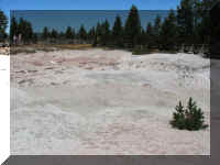 a f0812ys_224 ftn ppa_1.JPG (42891 bytes)