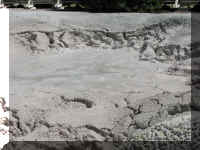 a f0812ys_230 ftn ppb_1.JPG (52656 bytes)