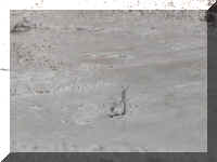 a f0812ys_236 ftn ppc_1.JPG (32432 bytes)