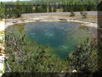 a f0812ys_258 lthr pl1_1.JPG (63462 bytes)