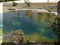 a f0812ys_264 lthr pl2_1.JPG (56059 bytes)