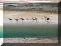 a f0812ys_354 mgbe_1.JPG (45898 bytes)