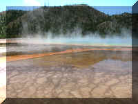 a f0812ys_390 mgbk_1.JPG (45383 bytes)