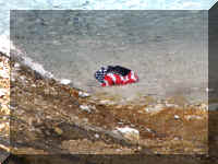 a f0812ys_422 mgb hat3_1.JPG (58970 bytes)