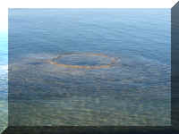 a f0812ys_674 wtgbh_1.JPG (43959 bytes)