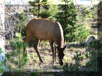 a f0812ys_698 wtgbk_1.JPG (83625 bytes)