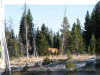 a f0812ys_718 wtgbl_1.JPG (67144 bytes)