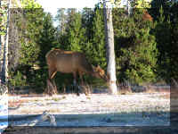 a f0812ys_729 wtgbn_1.JPG (78958 bytes)