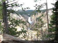 a f0813ys_224 ygc3_1.JPG (75477 bytes)