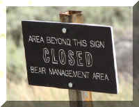 a f0813ys_368 area cls bear_1.JPG (39625 bytes)