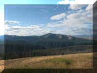 a f0813ys_505 mt wshb vw2_1.JPG (36648 bytes)