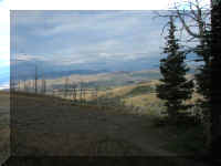 a f0813ys_521 mt wshb vw4_1.JPG (39509 bytes)