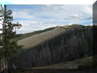 a f0813ys_527 mt wshb fire_1.JPG (40671 bytes)