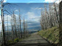 a f0813ys_569 mt wshb rd dwn_1.JPG (62125 bytes)