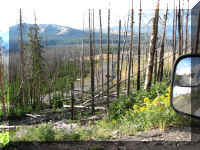 a f0813ys_577 mt wshb rd down2_1.JPG (76097 bytes)