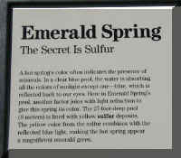 as f0811ys_241 emrl sprg_1.JPG (47415 bytes)