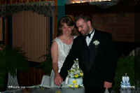 cake.jpg (26205 bytes)
