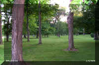 grounds 2.jpg (52807 bytes)