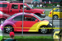 wdc vw paint.jpg (56344 bytes)
